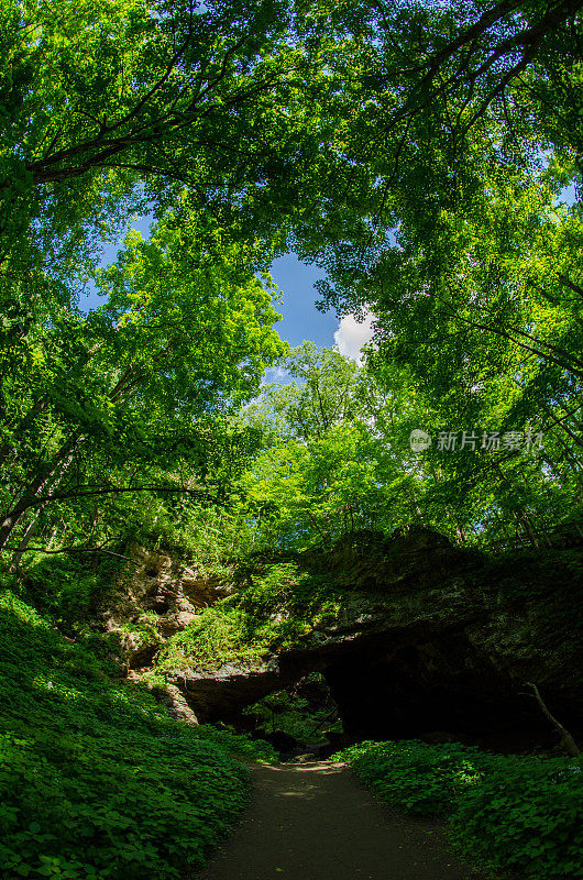Maquoketa洞穴SP -鱼眼景观-天然桥和森林